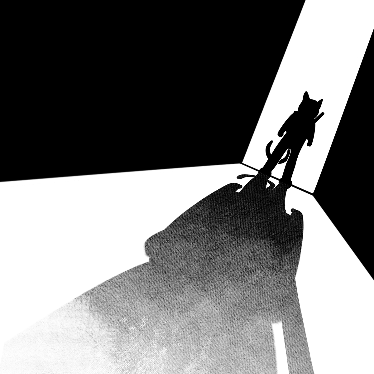 koko 🐱 tweet media