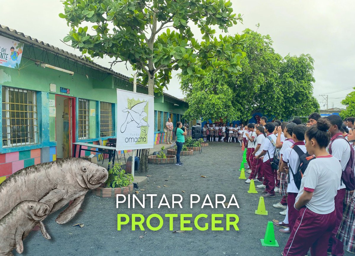 FundacionOmacha's tweet photo. Realizamos la adecuación de unas paredes dentro de la Institución Educativa David Sánchez Juliao, ubicada en el municipio de Lorica, Córdoba para dar lugar a unos murales elaborados por los estudiantes, conmemorando así la importancia del medio ambiente y su conservación. https://t.co/b6VkWRfAo7
