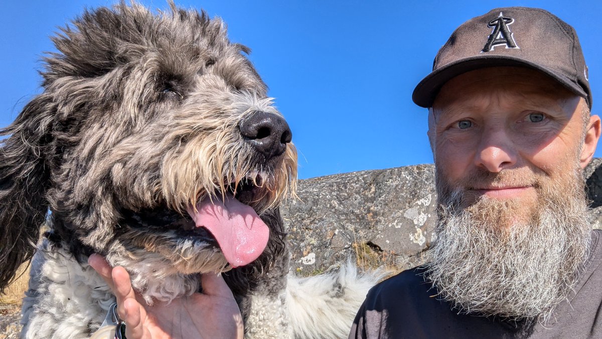 Kyle Nordwall tweet media