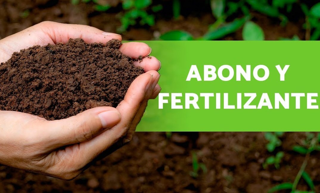 El abono es totalmente recomendable para sembrar, incrementa la calidad del suelo y brinda nutrientes a los cultivos y las plantaciones.