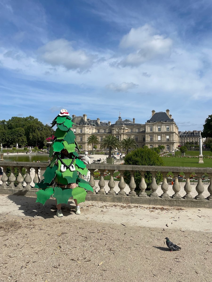 GoStanford's tweet photo. L’arbre à Paris! 🌲🇫🇷

Our VIP has arrived for #Paris2024: @DaStanfordTree 

#GoStanford https://t.co/cNaY8lPCjb