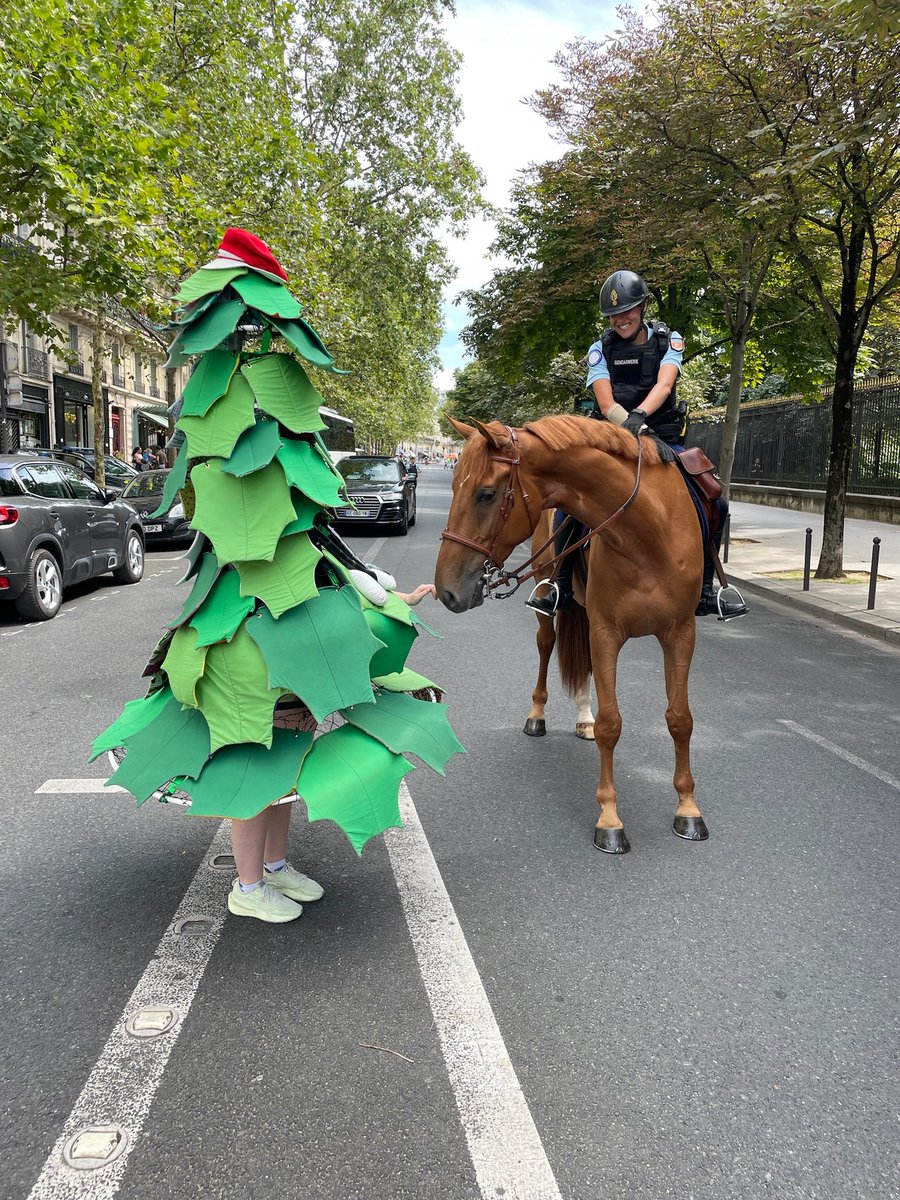 GoStanford's tweet photo. L’arbre à Paris! 🌲🇫🇷

Our VIP has arrived for #Paris2024: @DaStanfordTree 

#GoStanford https://t.co/cNaY8lPCjb