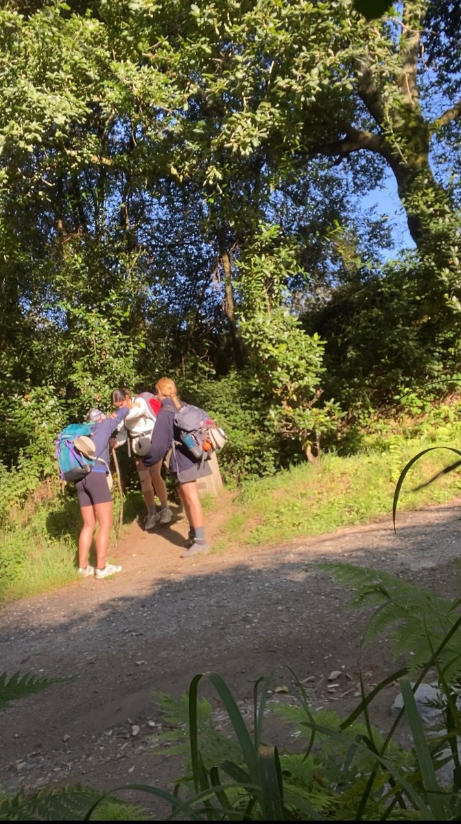 chicas es q enteras y amigas y en santiago y hemos caminado 114km y no las puedo querer mas