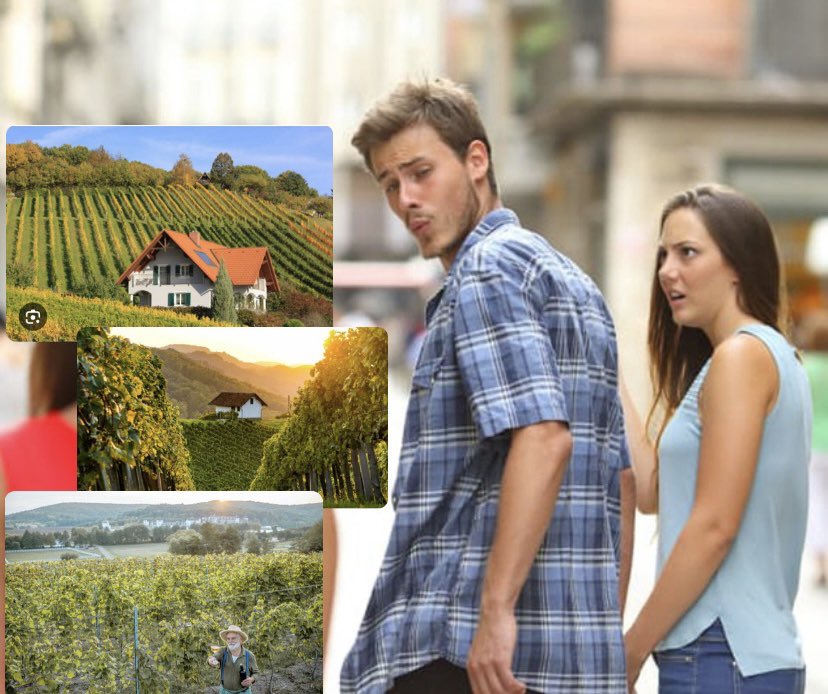 семантичне насичення tweet media