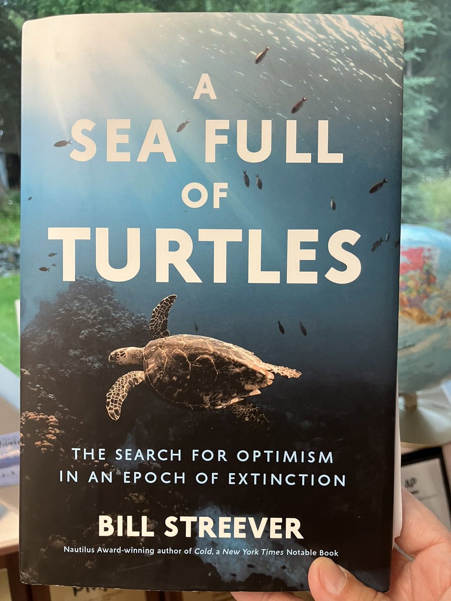 Lori Townsend tweet media