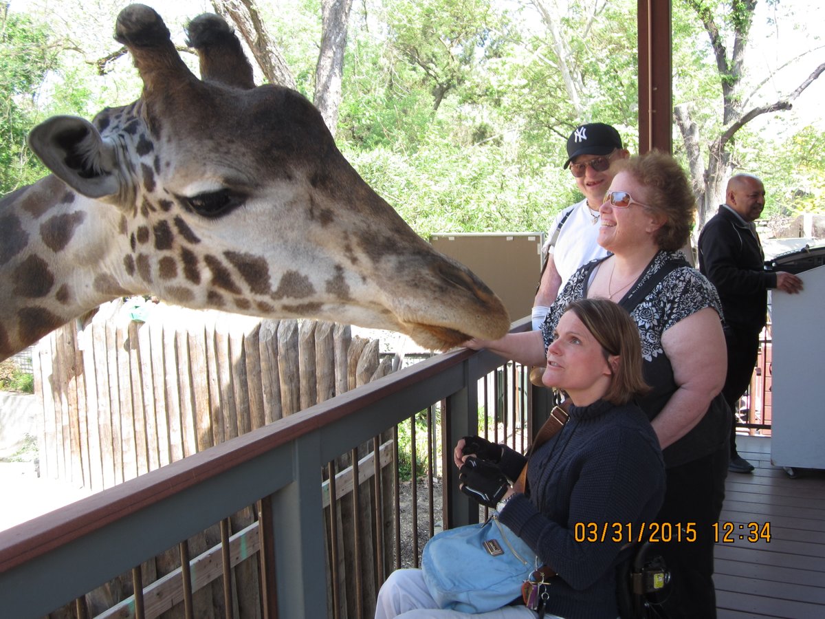 During the Spring 2015, KP, Jill &amp; Dwight explored exhibits &amp; met incredible animals at the Zoo. One unforgettable moment was their encounter with Chieftu, the Giraffe. Chieftu took a special liking to KP, giving her hand a memorable lick! KP fondly recalls this unique experience