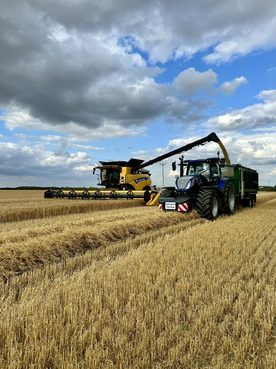 Matt Skinner tweet media