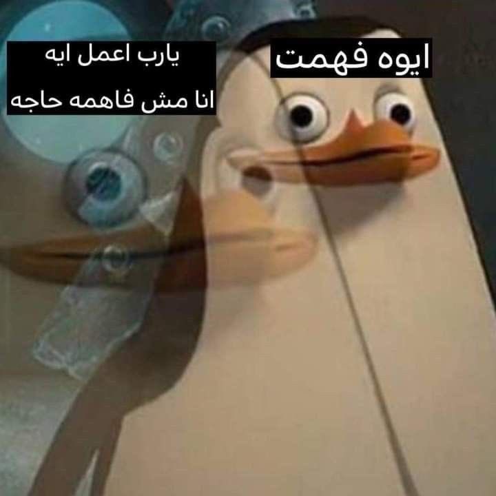 Egyptianmemees's tweet photo. بعد ما اتشرحلي الموضوع ١٠٠ مرة : https://t.co/r9T17l1AUo