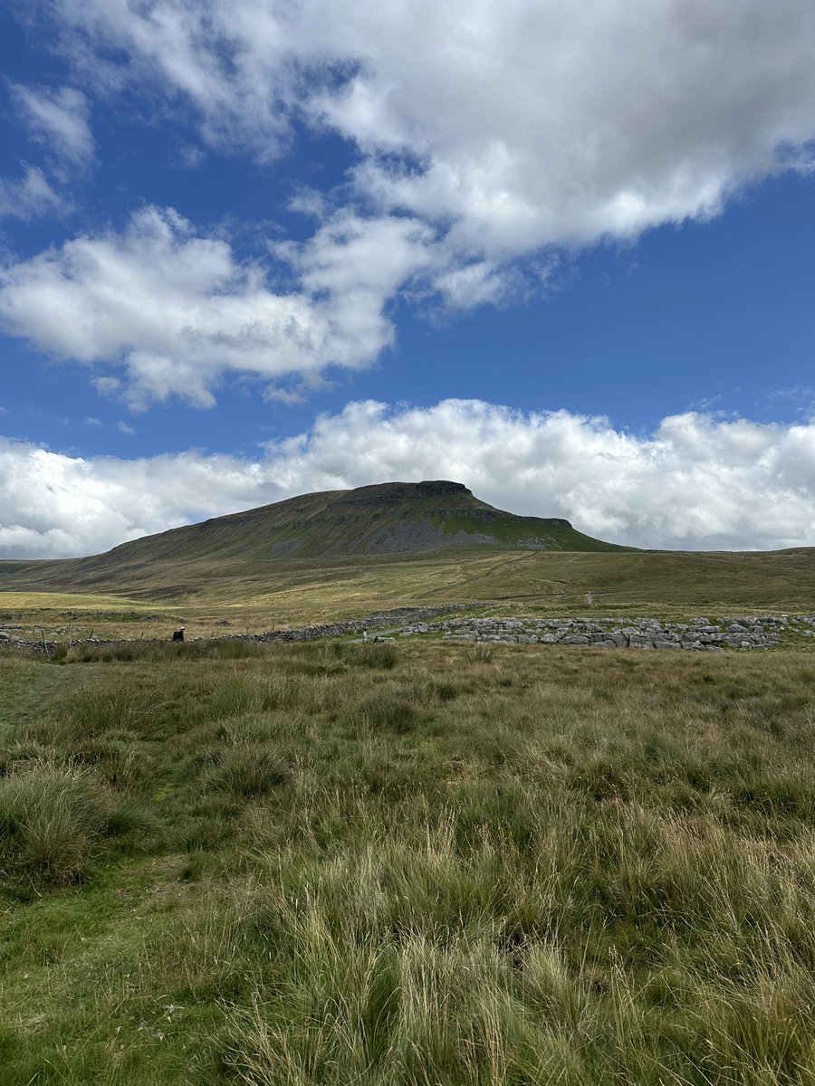 Pen-y-Ghent 🥾✅