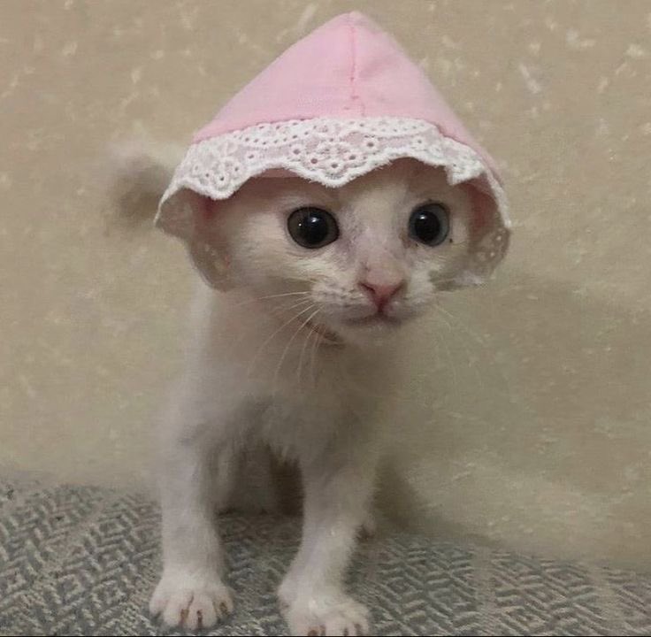 ime got. ,  anober hat :3  is pr etty an , pinks !