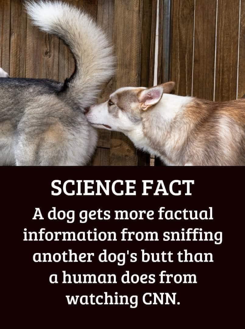 thefoodslinger2's tweet image. Facts… #factcheckthis