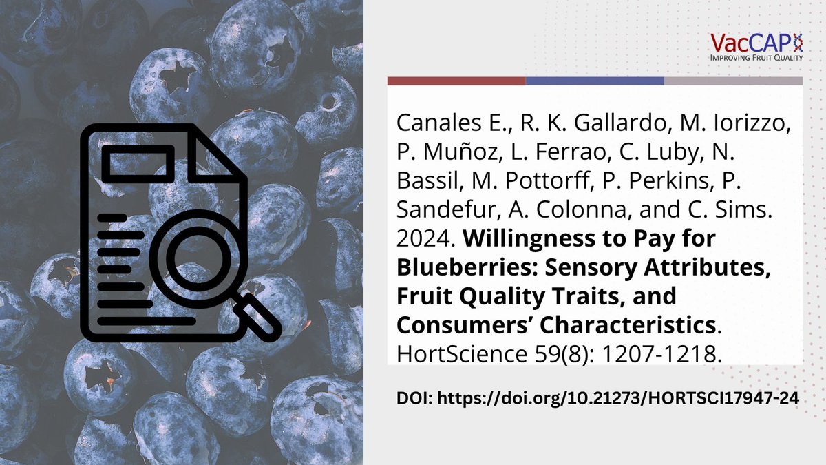 Just released a new publication from the VacCAP team! This study integrated willingness to pay elicitation, sensory evaluation, and instrumental fruit quality measures to find attributes that can trigger purchasing behavior. doi.org/10.21273/HORTS…