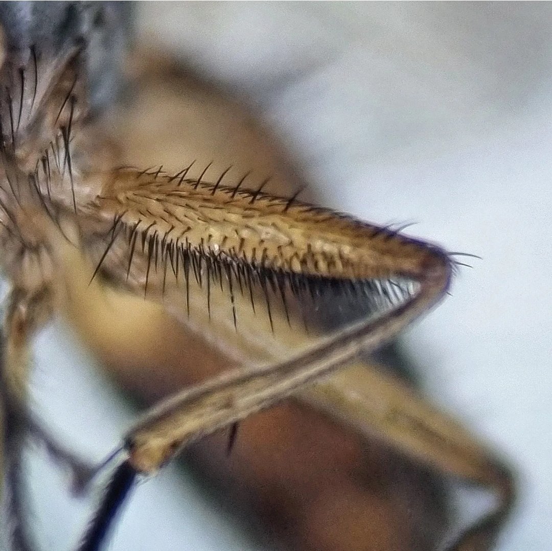 Ryan Mitchell tweet media