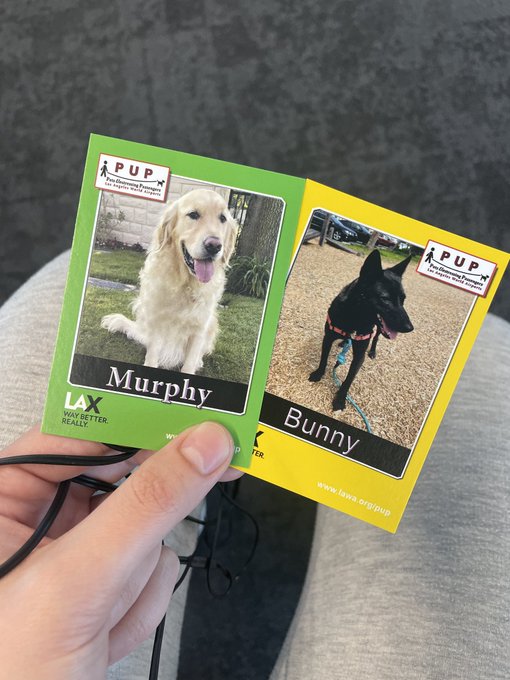 Watch Chloe Kreams ONLY ACCOUNT!'s leaked NSFW photo on TwXstars