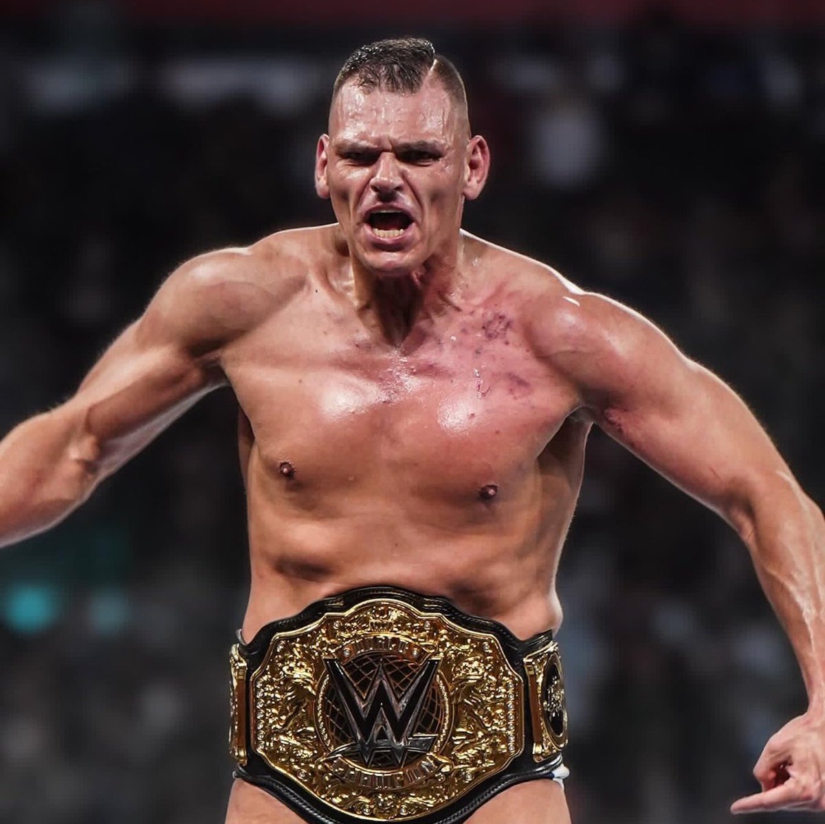 WrestlingEurope's tweet image. #DerRingGeneral 🇦🇹🏆