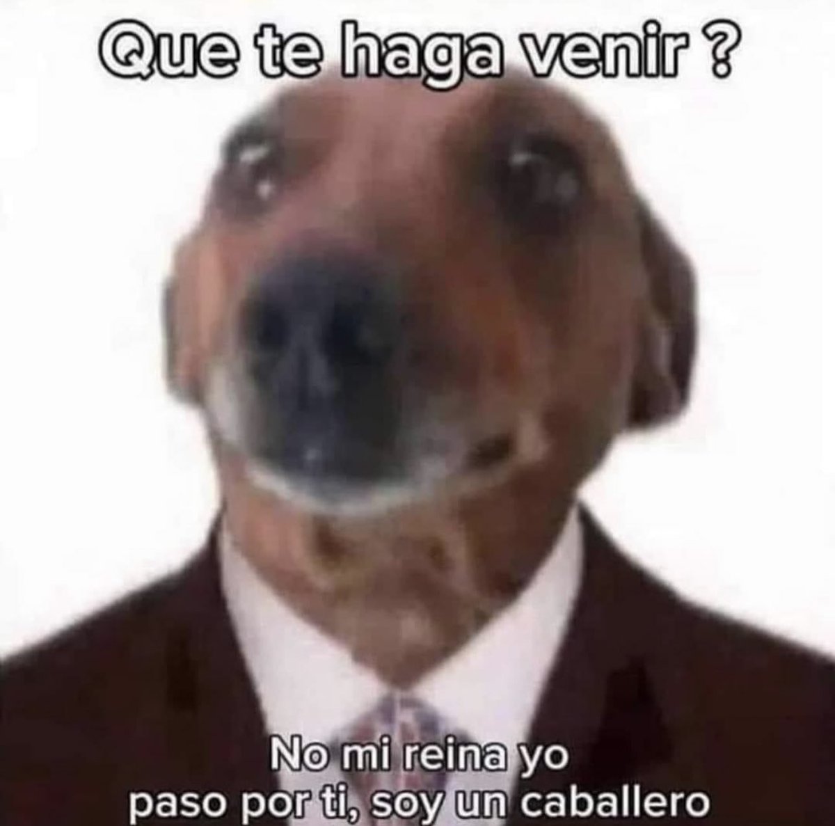 piña sin pizza (@skereunpesado) on Twitter photo 