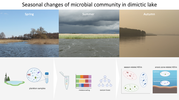 ania_karnkowska's tweet photo. Exciting news from #MicroDivEr @NCN_PL project! Our new study by @MichalKarlicki in #FEMSMicrobiolEcol uncovers microbial diversity and seasonal dynamics in a temperate #Lake RoΕ, revealing distinct patterns in bacterial and small #protist communities.
πhttps://t.co/leH89e3kS3 https://t.co/xDRzej8yrD