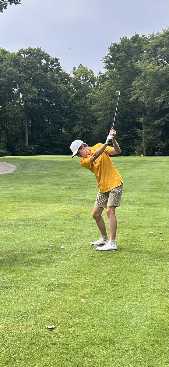 Brush Golf tweet media