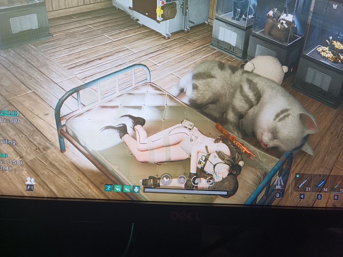 PupBabalon's tweet photo. I'm scared sleeping alone so my wife build a bed in her house where I can sleep next to her little cat 💕

#oncehuman #game #computer #gamer #gaming #love https://t.co/T510Z8OAHm