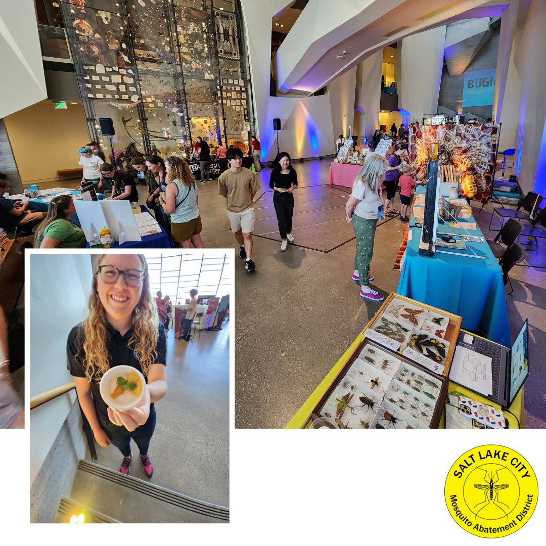 SLC_Mosquito's tweet photo. Don't have any weekend plans? You do now! Come to BUG Fest at the @NHMU, Saturday and Sunday 10 am - 5 pm. Swipe to see some the fun we had last year.
#bugfest #insects #STEMeducation https://t.co/mxyq5Ck1jn