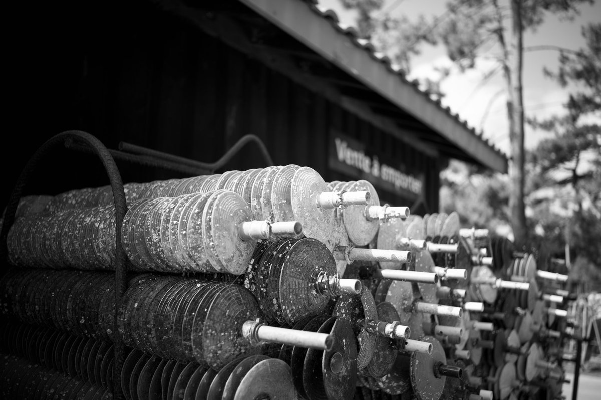 Balade village du canon #capferret #blackandwhitephotography #gironde #leica