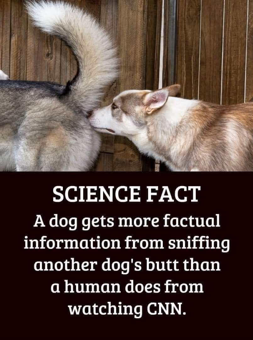 Sassafrass_84's tweet image. True story.