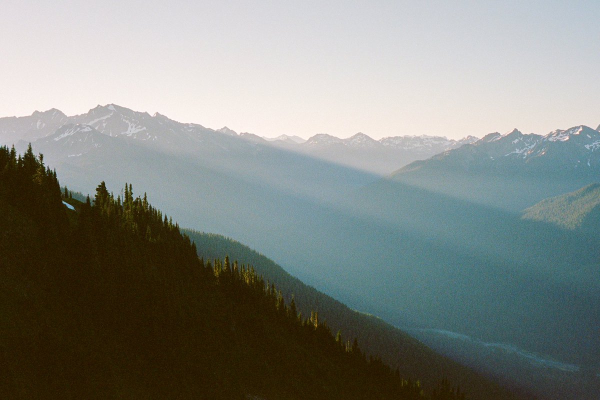 Portra Papi tweet media