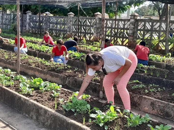 ulacio4's tweet image. #6agosto/Nuestro presidente Nicolás Maduro, tiene fe en la nueva economía, producto  de los nuevos emprendimientos, la cual crea circuitos virtuosos para la producción. En nuestra patria VENEZUELA 🇻🇪
 #ChaoWhatsApp
#LoQueDigaNicolás
#ComunicadoresLegislativo