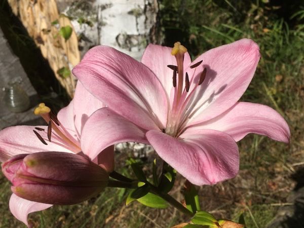 gal౨ৎ (@prtygal777) on Twitter photo 