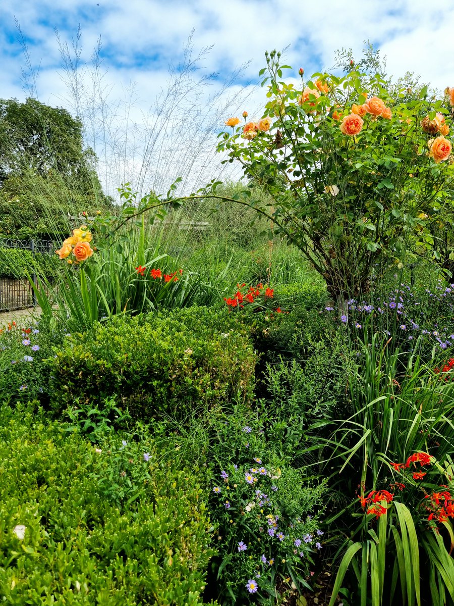 CoraHomeStories (@home_cora) on Twitter photo 