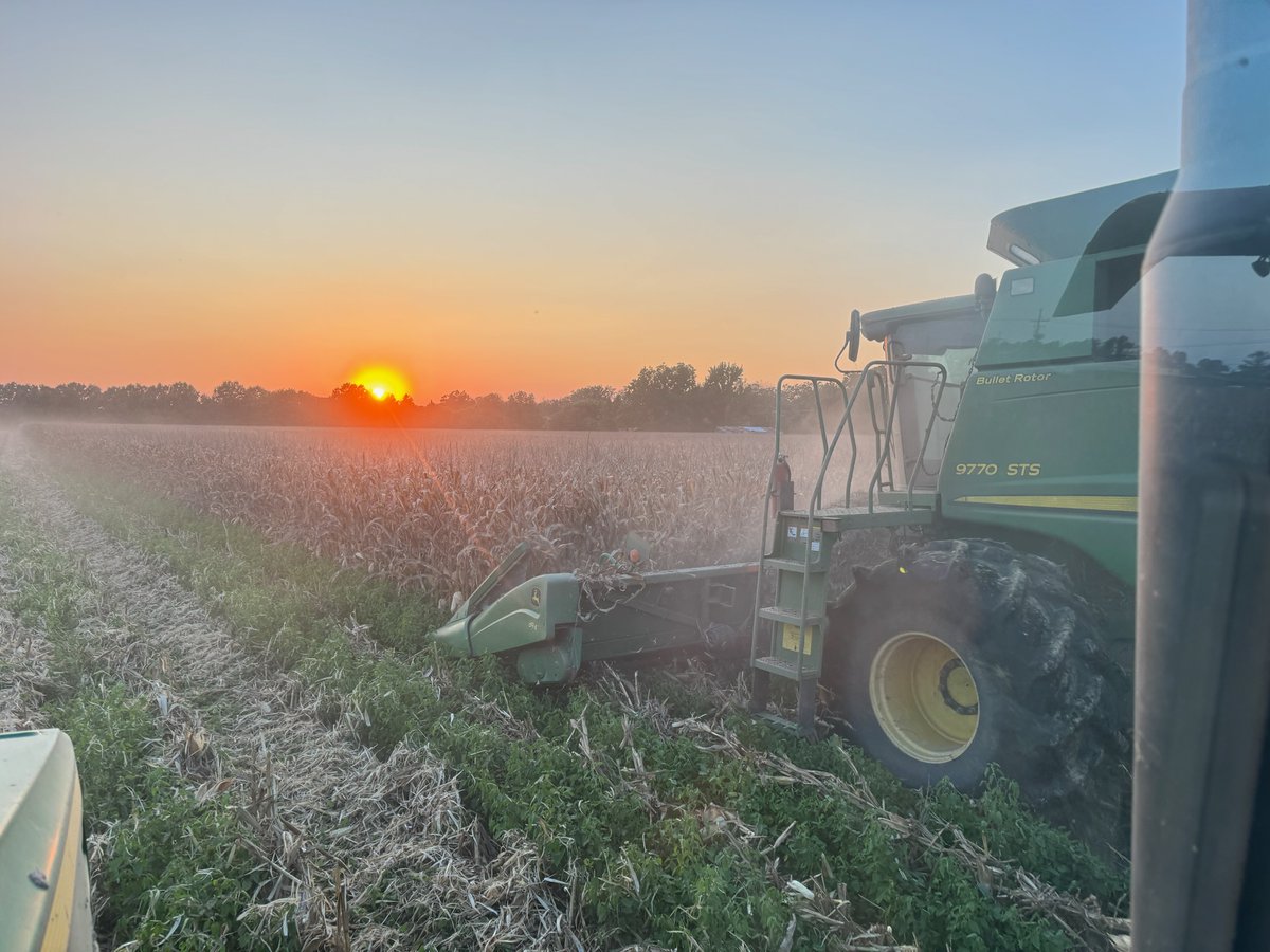 greenpointag's tweet photo. "Corn harvest has started in North Louisiana. At first glance, it seems like a blessed one. Hopefully, we can the momentum going." - GreenPoint Ag Outside Sales, Hunter Pruitt. #farming #greenpointag #southernfarming #agriculture #harvest https://t.co/5l1NkvjAb0