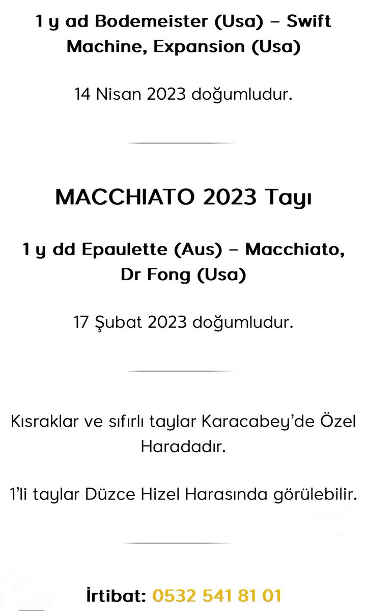 Satılık Genç ve Gebe Kısraklar, 2023 ve 2024 doğumlu Taylar…

İrtibat ; 05325418101

<a href="/weeaal/">adem zurnaci</a> <a href="/avsar62/">Recep AVŞAR</a> <a href="/erhanunalll/">Erhan Ünal</a>