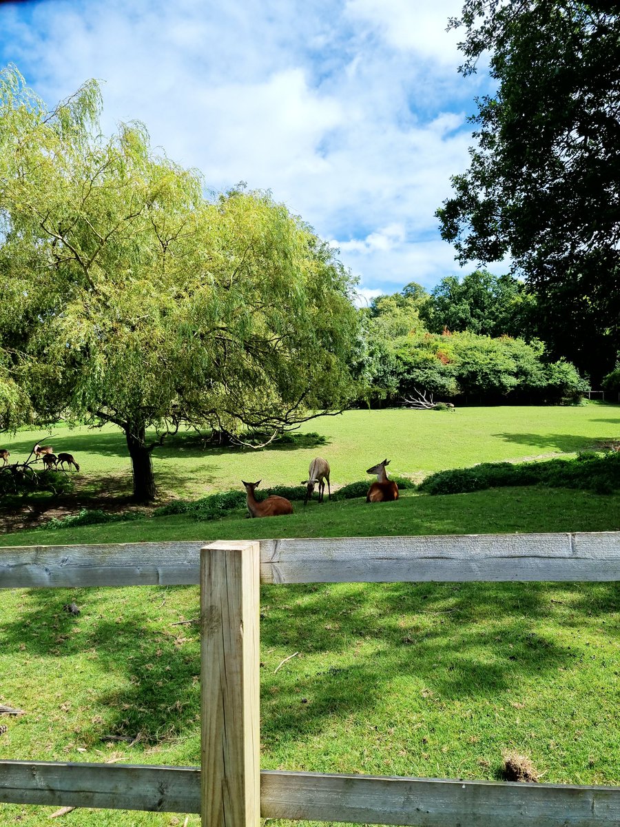 #SUMMER2024 💚🌳🌾