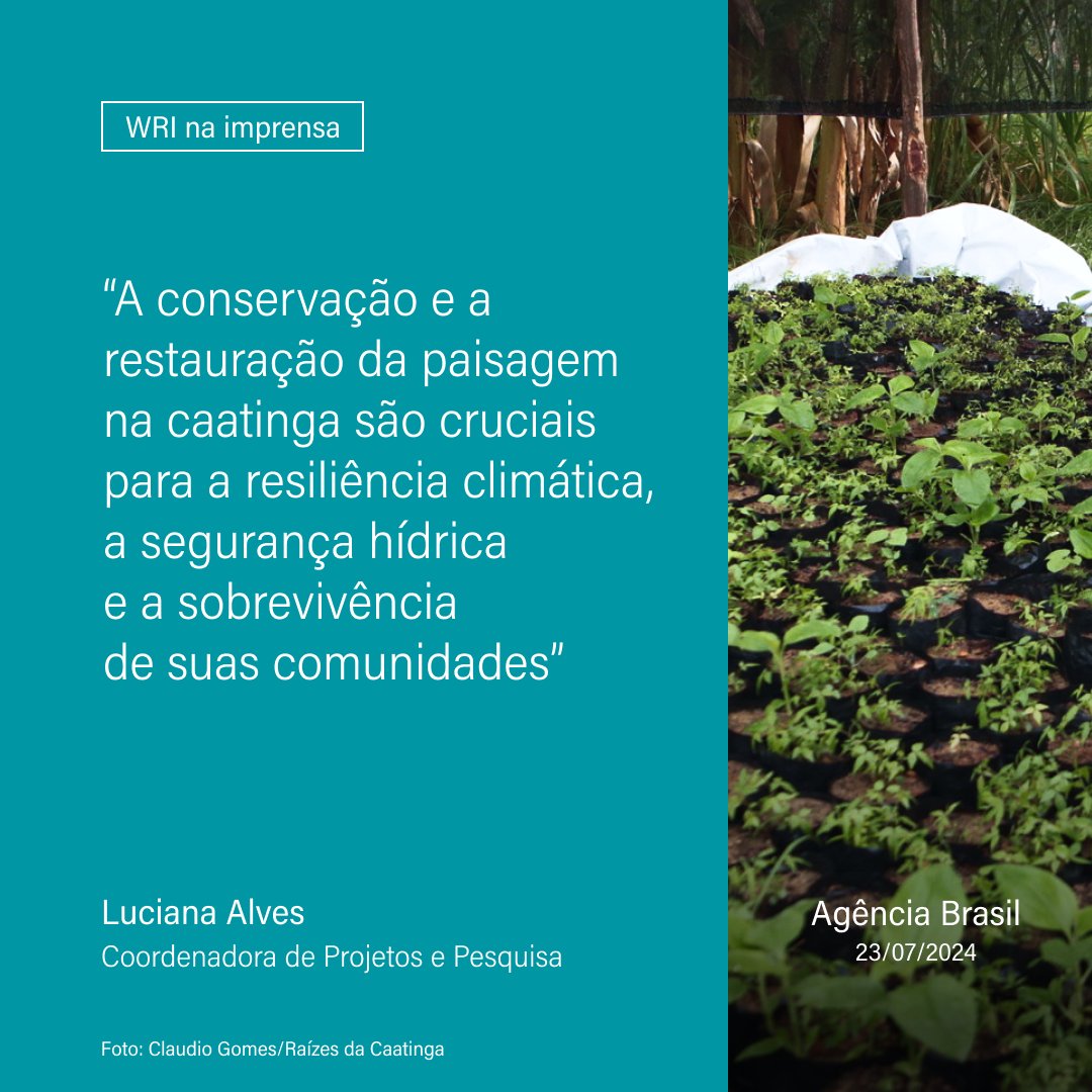 Luciana Alves, coordenadora de Florestas, Uso da Terra e Agricultura do WRI Brasil, conversou com a Agência Brasil sobre a importância do Programa Raízes da Caatinga. Leia a matéria aqui: bit.ly/46vatdD