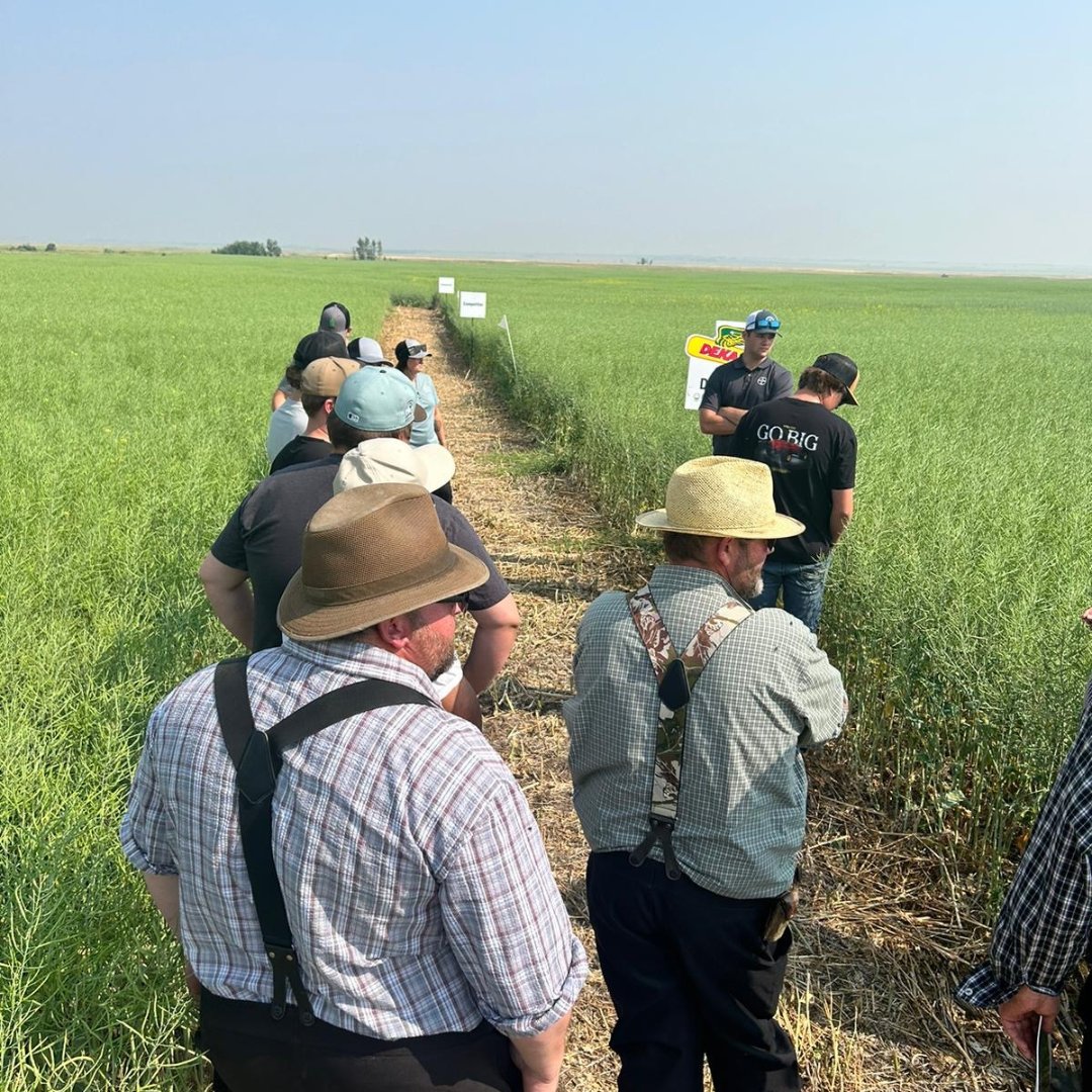 Cropmgmtnetwork's tweet photo. Tanner from our Castor location attended a Bayer grower tour where they were checking out some canola hybrid plots.
Always great to see products out in the field so we can better help guide our customers next growing season!
#plottour #fieldtour #westcdnag #albertaag #ag https://t.co/RioaaJkVCy