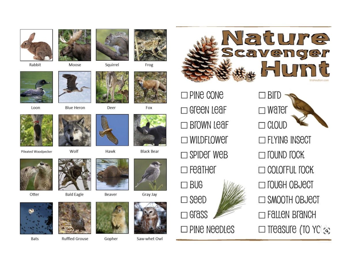 mchamberlainPE's tweet image. Pulling some SEL into the upcoming @BoundaryWaters trip w/my two oldest for their first trip in.

They’ll also be able to follow along &amp;amp; track our route.

-Favorite part
-Hardest part
-Something you’ll remember 
-Something you’re thankful for

#getoutdoors @mndnr #bwca #camping