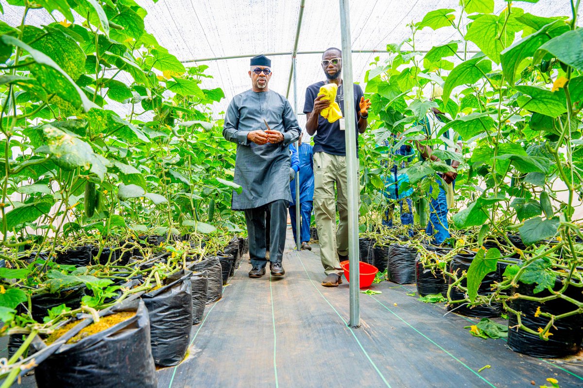 DapoAbiodunCON's tweet photo. We advocate for the establishment of more farm laboratories across the country, recognising agriculture as essential for achieving food sufficiency. Given the current situation, it is crucial for us to embrace agriculture, grow and consume our own produce. https://t.co/aQD45S6l8z