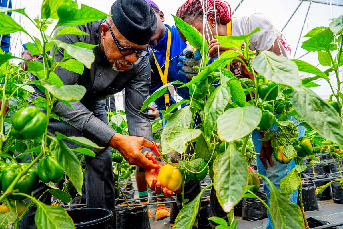 DapoAbiodunCON's tweet photo. We advocate for the establishment of more farm laboratories across the country, recognising agriculture as essential for achieving food sufficiency. Given the current situation, it is crucial for us to embrace agriculture, grow and consume our own produce. https://t.co/aQD45S6l8z