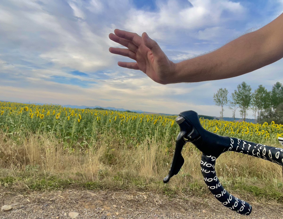 Cada día me cuesta más asimilar cómo es posible ser tan idiota de cruzarte con otro compañero en bici y no saludarle. No hacer ni un leve gesto con la cabeza. Sonreír. Hoy me ha pasado hasta tres veces, saludando yo solo. 
Por favor, no seáis imbéciles en ruta. Flipados.