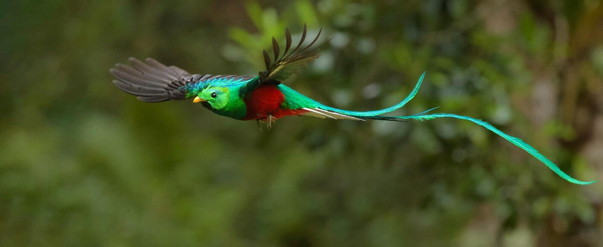 theGEF's tweet photo. 🌏“Bringing solutions to protect nature starts with ensuring that conservation funding is spent wisely and sustainably.” — @cmrodrigueze, GEF CEO.
Discover more about the role of #PolicyCoherence in conservation in his interview with @Carter_Roberts: https://t.co/e2YiVkwl44 https://t.co/q2PlFnDYOm