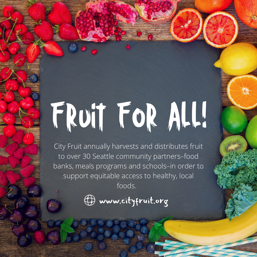 cdchc's tweet image. We are SO excited about our second event in partnership with City Fruit outside our Carolyn Downs clinic TODAY between 4-6PM! 

2101 East Yesler  Way, Seattle 98122

For more info about CityFruit: cityfruit.org