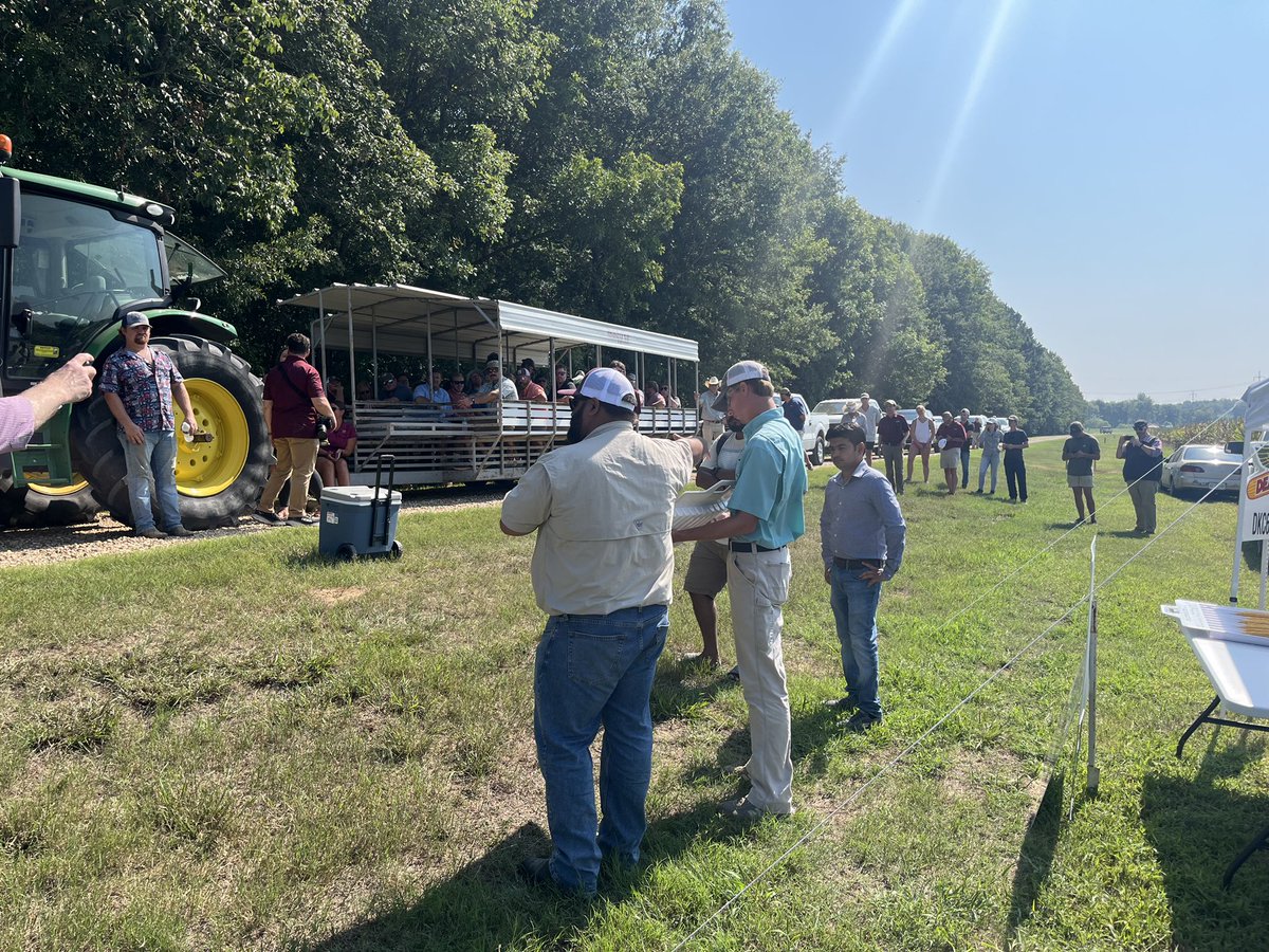 Jagmandeep Dhillon (@jagmandhillon) on Twitter photo Thrilled to have the opportunity to showcase our 🌽corn agronomy trials. A big thanks to all the producers for visiting, your support and curiosity drives us forward. Grateful for the continuous backing from <a href="/MississippiCorn/">Mississippi Corn Promotion Board</a> #cornagronomicslab <a href="/MSU_AG/">MSU CALS/MAFES</a> <a href="/MSUExtService/">MSU Extension</a> Thrilled to have the opportunity to showcase our 🌽corn agronomy trials. A big thanks to all the producers for visiting, your support and curiosity drives us forward. Grateful for the continuous backing from <a href="/MississippiCorn/">Mississippi Corn Promotion Board</a> #cornagronomicslab <a href="/MSU_AG/">MSU CALS/MAFES</a> <a href="/MSUExtService/">MSU Extension</a>