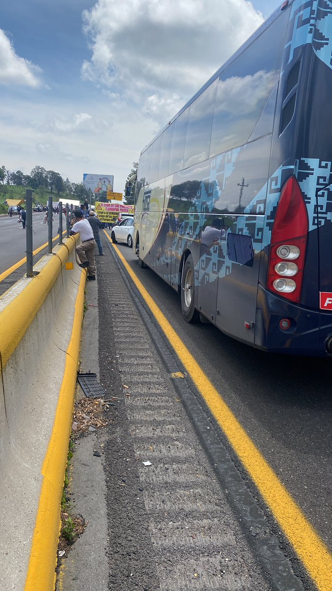 Alberto FedericoLynn tweet media