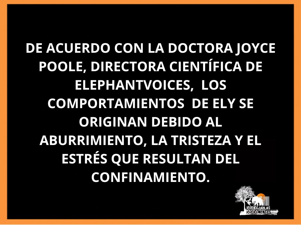 AJaulas's tweet photo. @JoycePoole es una de las principales expertas mundiales en el comportamiento y la comunicación de los elefantes africanos. Ésta es su percepción de #Ely 
Día6: #TributoALosElefantes del mundo
#DíaMundialDelElefante 12ago

#JusticiaParaEly #LiberenAEly 
#ElyAUnSantuario  #México https://t.co/ZkW3aHVKZt