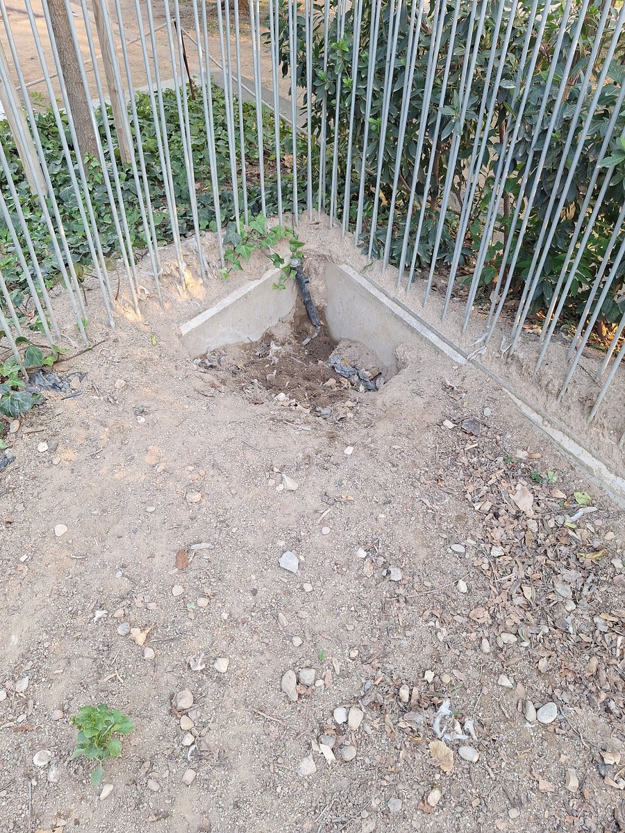 manyiko's tweet photo. Hola @bcn_ajuntament al pipican del parc central de  @Bcn_NouBarris hi han abelles, forats, surten materials toxics per al gossos i no poseu solucions.  @jaumecollboni o truquem al @jordibaste  @elmonarac1 https://t.co/sLfx8X7043