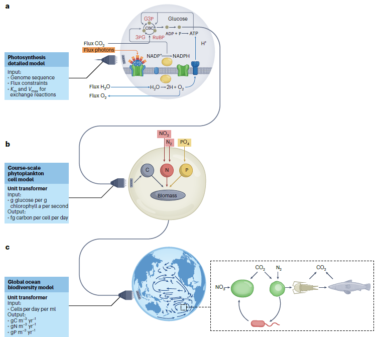 Daniel Sher (@mce_lab) on Twitter photo We propose some practical steps that can be used to integrate these concepts into experimental and theoretical work. Thanks Daniel Segre' (<a href="/dsegre/">Daniel Segrè</a> <a href="/segrelab/">segrelab_news</a>) and Twitterless Mick Follows for a fantastic intellectual trip! Find it here: rdcu.be/dP6Ql. We propose some practical steps that can be used to integrate these concepts into experimental and theoretical work. Thanks Daniel Segre' (<a href="/dsegre/">Daniel Segrè</a> <a href="/segrelab/">segrelab_news</a>) and Twitterless Mick Follows for a fantastic intellectual trip! Find it here: rdcu.be/dP6Ql.