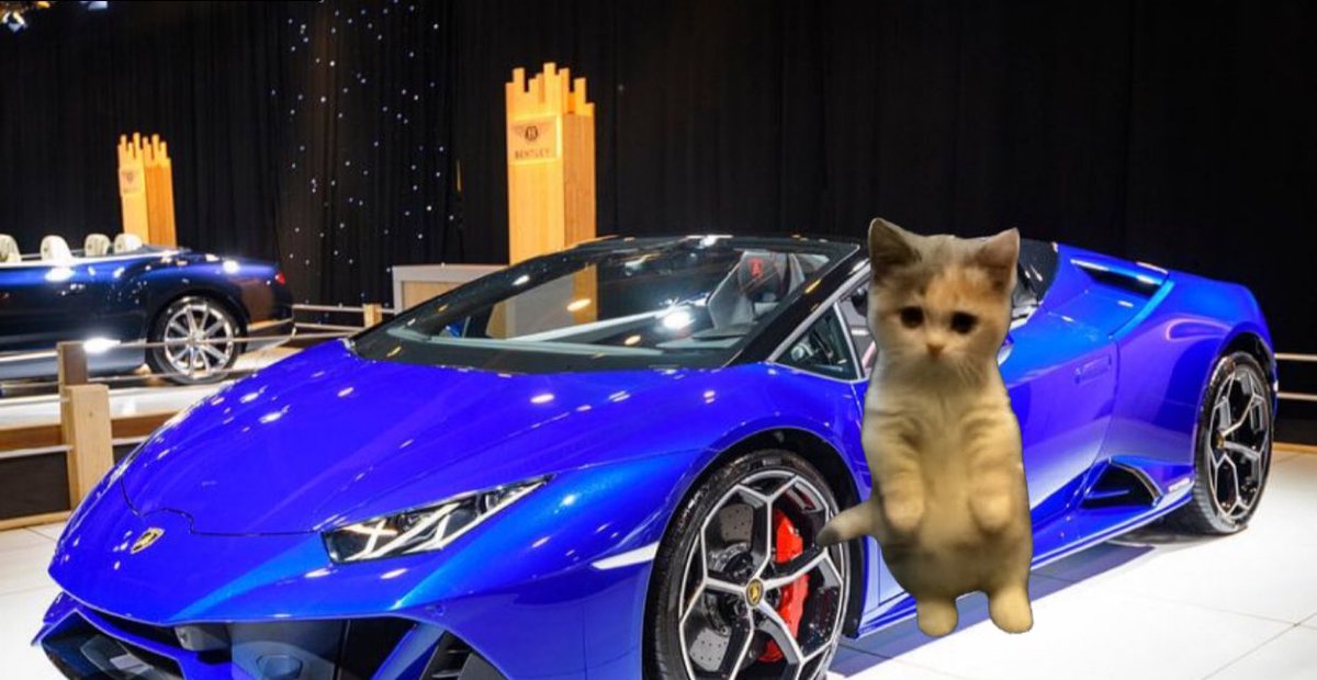 Yehya7_'s tweet photo. @The__Solstice Eyeing only $MICI on a lambo https://t.co/G9yUPlIdGm