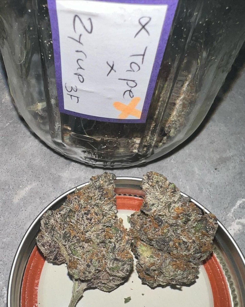 Fernand49034227's tweet photo. 🍁ganja
#zyrup #canna thc💪🏼% https://t.co/tiXCB0KUZV