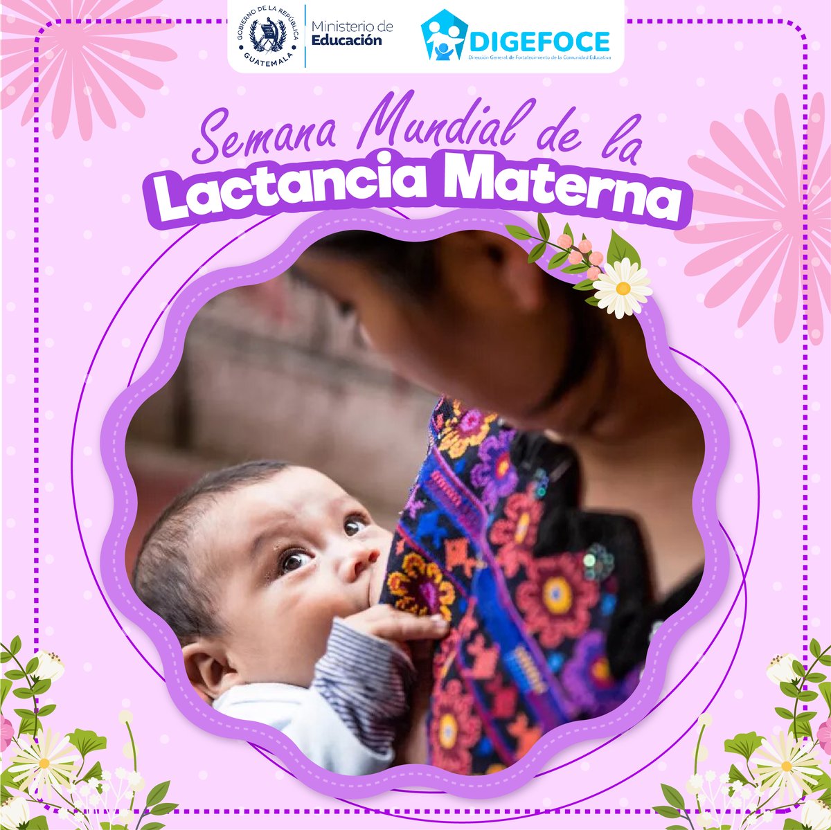 La lactancia materna establece un vínculo afectivo entre la madre y el hijo, a la vez que nutre al bebé.

La leche materna contiene los nutrientes necesarios para el crecimiento y desarrollo, además genera bienestar y seguridad en el bebé.
#lactanciamaterna #DIGEFOCE #Mineduc