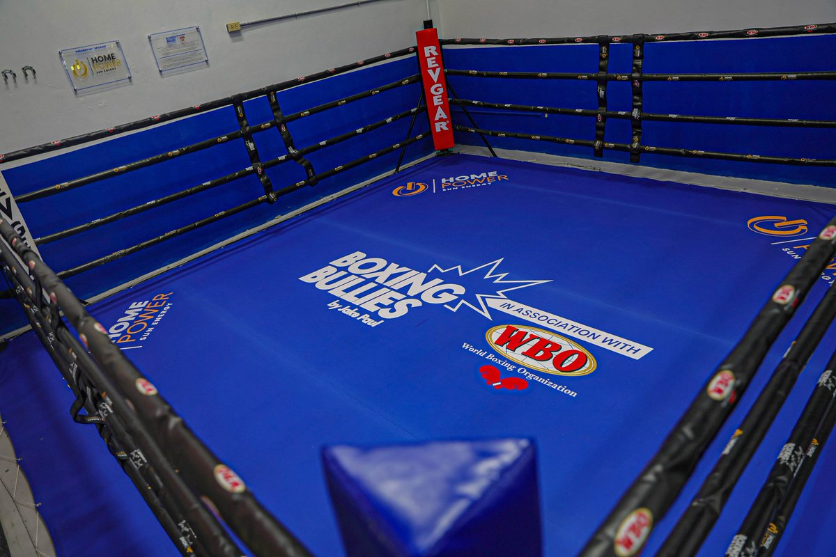 PuertoRico Boxea (@prboxea) / Posts / X
